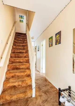 Rooftop Hidden Gem Kwatera prywatna Galway