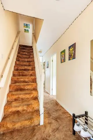 Rooftop Hidden Gem Privat bolig Galway